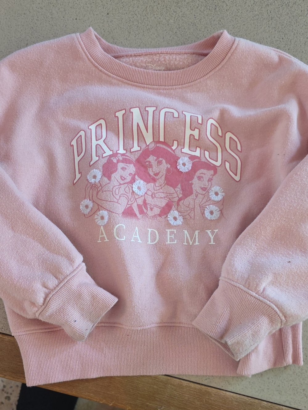 Disney Pink Princess Academy Crewneck Sweatshirt